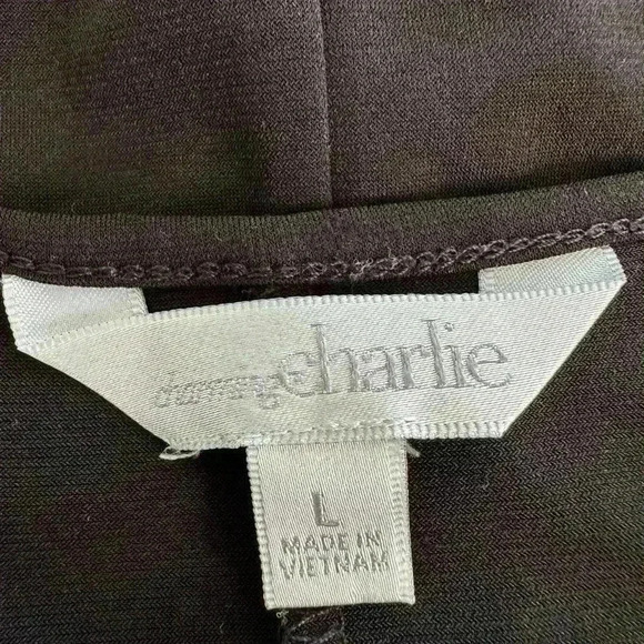 Charming Charlie Black V-Neck Women's Jumpsuit (556) - Picture 14 of 14